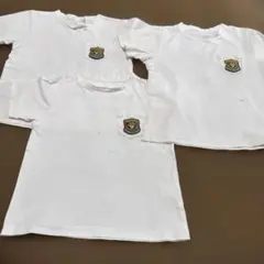 【110の3枚セット】キンダーキッズ　白ホワイトTシャツ3枚セット