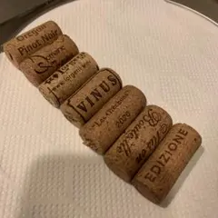 Item thumbnail for item 8e30729d-81dd-4398-9fe0-f4e4a593a09e