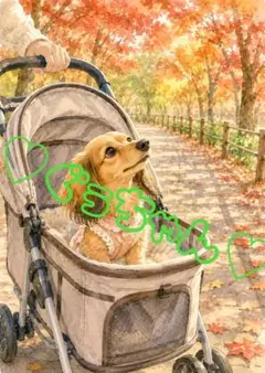 《一点限り》ミニチュアダックス 紅葉 ペットカート