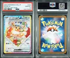 イーブイex SAR SV8a テラスタルフェスex 224/187