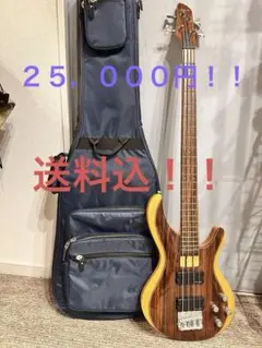 Aria Pro II エレキベース IGB-50ROSE 4弦 ケース付き Aria Pro II エレキベース IGB-50ROSE 4弦 ケース付き - メルカリ