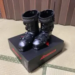 Item thumbnail for item 4593b671-ddbd-4daf-aa5a-1344a840420c