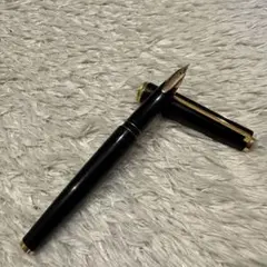 PILOT CUSTOM GRANDEE 万年筆 ペン先 F 14K 585 - メルカリ