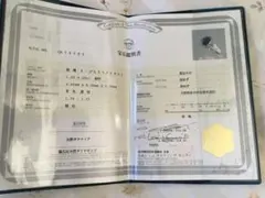 Item thumbnail for item bfe29fcc-fcd4-424f-ade0-f8f05babcb80