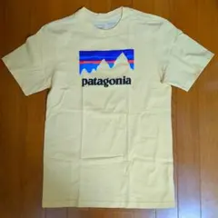 【美品】patagonia Tシャツ Sサイズ ライトイエロー/CSTY