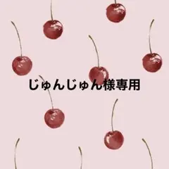じゅんじゅん様専用