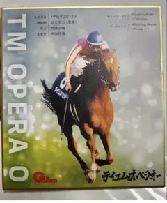 テイエムオペラオー　ミニ色紙