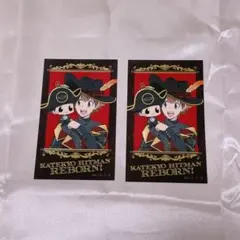家庭教師ヒットマンREBORN！ アニカフェ 箔押しカード 2枚セット 沢田綱吉