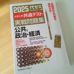 2025大学入学共通テスト実戦問題集 公共、政治・経済