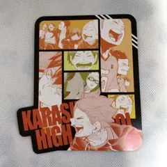 ハイキュー オリジナルカットカード 烏野高校