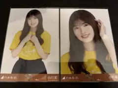 Item thumbnail for item 5d4a11ed-eb74-49bb-8f13-b88cd3b224b1