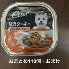 Item thumbnail for item 692c3bf2-fd50-46df-89a9-101ddba2be1b