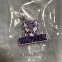 SEVENTEEN miniteen めじるしアクセサリー ウォヌ