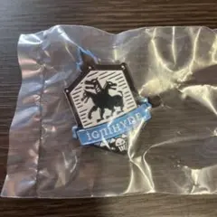 ディズニーツイステッドワンダーランド 寮章ピンバッチ イグニハイド