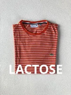 正規品　LACOSTE 半袖Tシャツ US Lサイズ　XL 相当