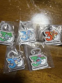 ポケモン メタルチャームマスコット 30周年 5種セット