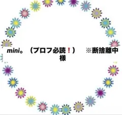 mini。（プロフ必読❗️）　※断捨離中　様