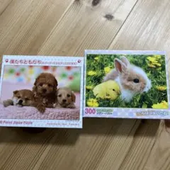 300ピース ジグソーパズル 2個セットのサムネイル