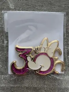 東京ディズニーリゾート ミニーマウス ランヤード アクセサリー