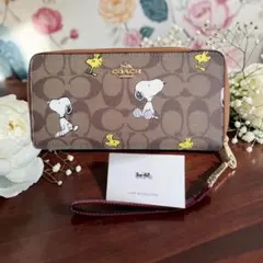 COACH X PEANUTS】ペンシル ケース！スヌーピー 紙袋付き！ - メルカリ
