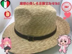 Item thumbnail for item c6e83203-8d9e-4856-b889-5b7ab65676eb