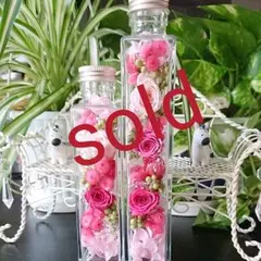 ハーバリウム1000フランちゃん