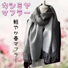 Item thumbnail for item 03310de9-fb27-40d2-966f-bd021f8fb460