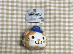 プロ野球マスコット　フェイスぬいぐるみ　セ・リーグ　DB.スターマン③