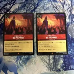 karasu様 リクエスト 2点 まとめ商品