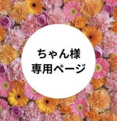 【ちゃん様　専用】