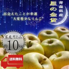 栽培中農薬不使用　弘前産　星の金貨＆黄色リンゴ9.8キロ位　梱包材込み 栽培中農薬不使用 弘前産 星の金貨＆黄色リンゴ9.8キロ位 梱包材込み