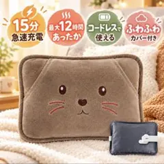 蓄熱式湯たんぽ 充電式 電気湯たんぽ カバー付き 34×26cm