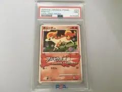 ポケモンカードe ポニータ PSA10 2025年最新】ポニータ psa10の人気アイテム - メルカリ