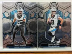 Item thumbnail for item 0d1d0168-9455-48cb-99a8-611bff9b794e