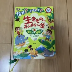 ぼくチロ！　DVD 二枚　　中古 ぼくチロ！ かくれんぼ DVD - メルカリ