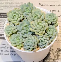 nao-74様 リクエスト 2点 まとめ商品