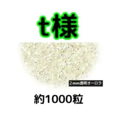 t様(専用)