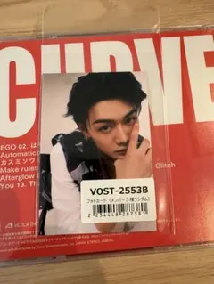 WildBlue curve 鈴陽向 VICTOR特典トレカ