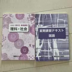 臨海セミナー 中3 理科 社会 国語 テキスト 2冊セット