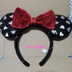 ミニー カチューシャディズニーランド