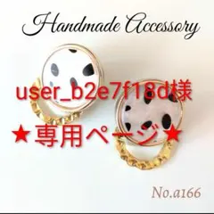 user_b2e7f18d様★専用ページ★No.a166★金属ピアス