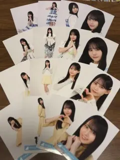 日向坂46 ひな誕祭 ツアー JOYFUL パステル 生写真 　16種　小坂菜緒 小坂菜緒 日向坂46 ひな誕祭 ツアー JOYFUL パステル 生写真 コンプ