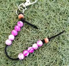 Item thumbnail for item bc3f18e1-0adb-49db-b518-dec28710e0c4