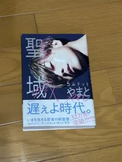 聖域 コムドット やまと
