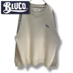 Item thumbnail for item 489773b6-0cce-4b55-9aab-0339ee6a70a0