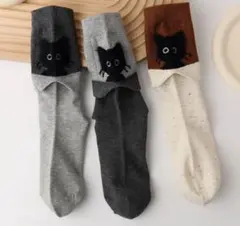 Item thumbnail for item 5f9fb3b0-7595-4c69-8527-335f05675480