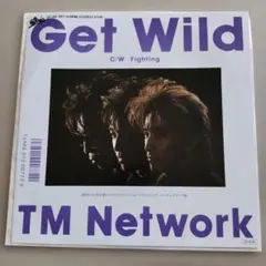 TM NETWORK Get Wild EPレコード 美品