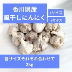 風干しにんにく Lサイズ＆SSサイズ 各1kg 土付き根付き／同梱発送