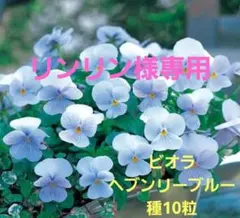 リンリン様専用ページ•*¨*•.¸♬︎