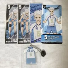 Item thumbnail for item cf8422ef-f90d-4085-b269-64e9c1d21be0